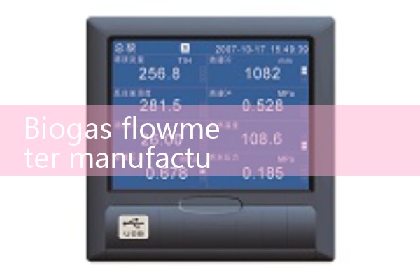 Biogas flowmeter manufacturer
